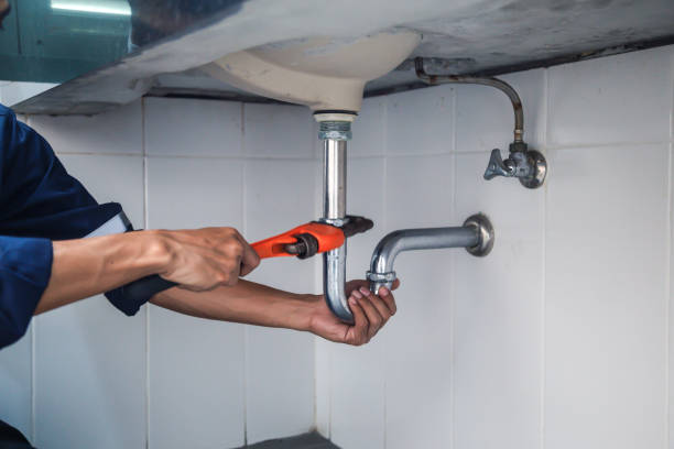 Best Clogged Drain Plumber  in The Meadows, FL