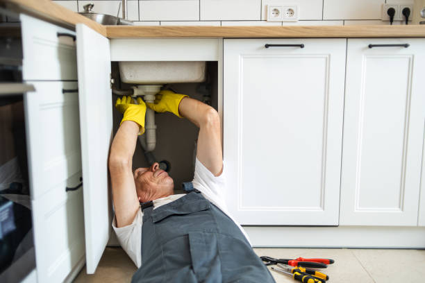  The Meadows, FL Plumbing Pros