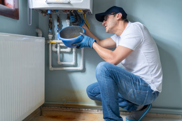 Best Residential Plumbing Services  in The Meadows, FL