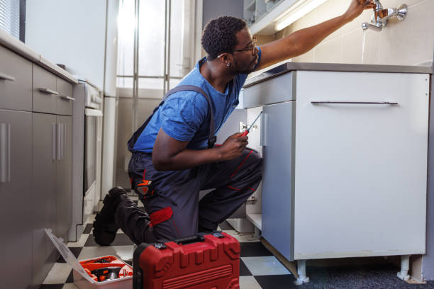 Best Water Heater Repair  in The Meadows, FL