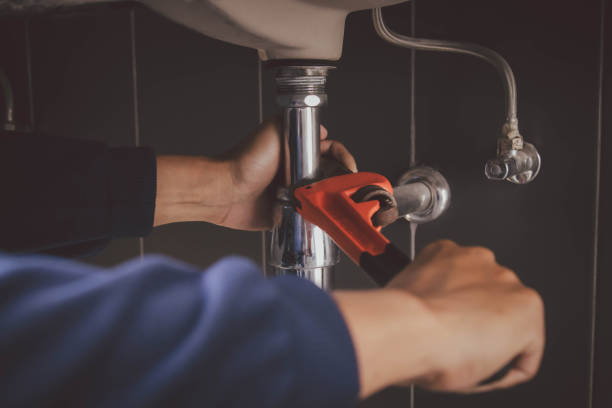 Best Affordable Plumbing Services  in The Meadows, FL